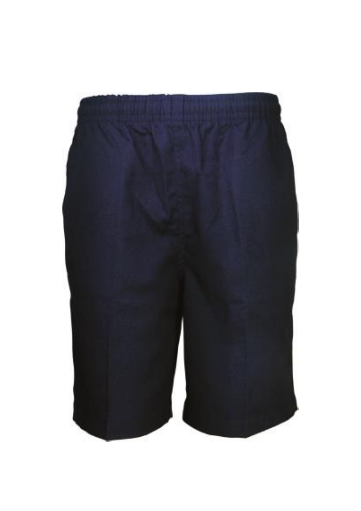 Henley School Short Navy Kids Optional